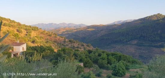 Finca Rústica regadío en Yunquera - MALAGA