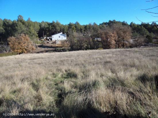 Parcela en venta en El Montmell - TARRAGONA