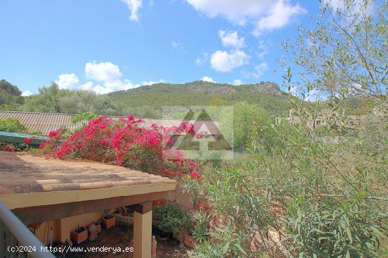 Coqueta casa de pueblo con encantador patio en Andratx - BALEARES