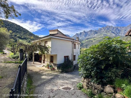 ¡¡INVIERTE EN PICOS DE EUROPA!! ¡¡HAZ DE ESTA CASA TU HOGAR O UN PRÓSPERO NEGOCIO RURAL!!(ver v