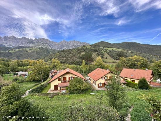 ¡¡INVIERTE EN PICOS DE EUROPA!! ¡¡HAZ DE ESTA CASA TU HOGAR O UN PRÓSPERO NEGOCIO RURAL!!(ver v