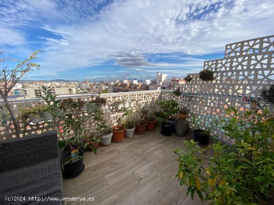 Apartamento en Escorchador. - BALEARES