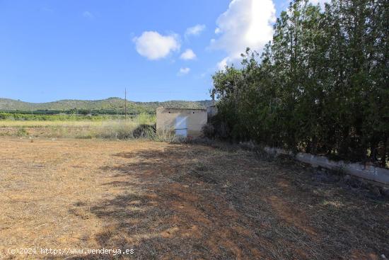 Finca rústica con caseta de aperos - TARRAGONA