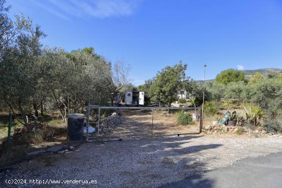 Se Vende en Alcanar - TARRAGONA