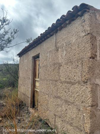  TERRENO RUSTICO AGRARIO VILAFLOR - SANTA CRUZ DE TENERIFE 