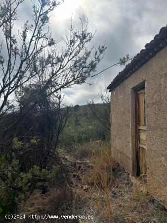 TERRENO RUSTICO AGRARIO VILAFLOR - SANTA CRUZ DE TENERIFE