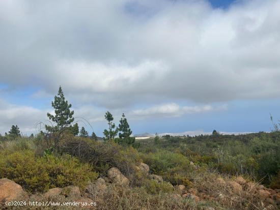 TERRENO RUSTICO AGRARIO VILAFLOR - SANTA CRUZ DE TENERIFE