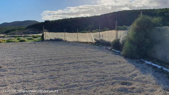 FINCA RUSTICA PARA CULTIVO CON SALON Y ESTANQUE, PORIS DE ABONA - SANTA CRUZ DE TENERIFE