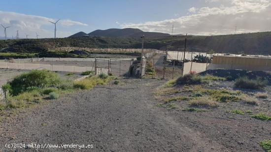 FINCA RUSTICA PARA CULTIVO CON SALON Y ESTANQUE, PORIS DE ABONA - SANTA CRUZ DE TENERIFE