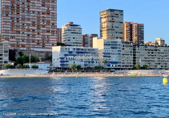  Alquiler apartamento turístico en 1ª Línea de la Playa de Poniente - ALICANTE 