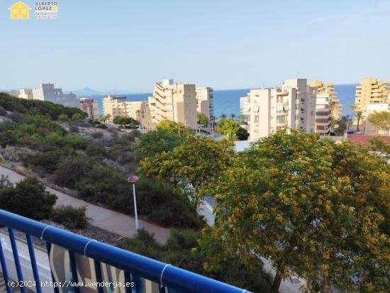 Apartamento moderno para alquiler de septiembre a junio. - ALICANTE