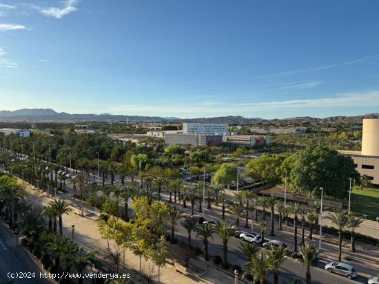 PISO PARA ESTUDIANTES ENFRENTE DE LA UNIVERSIDAD - ALICANTE