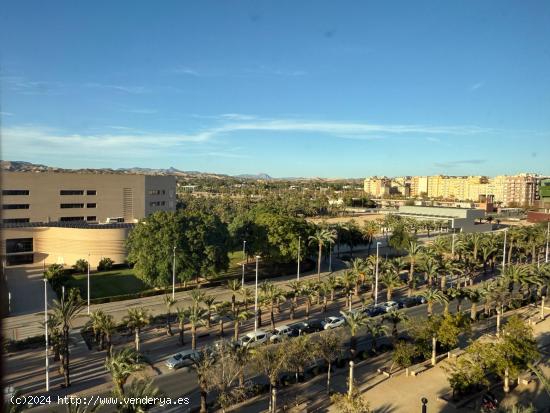 PISO PARA ESTUDIANTES ENFRENTE DE LA UNIVERSIDAD - ALICANTE