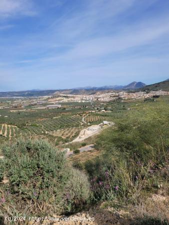  PARCELA EN ANTEQUERA GOLF - MALAGA 