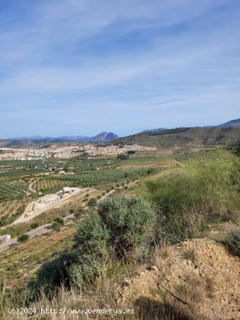 PARCELA EN ANTEQUERA GOLF - MALAGA