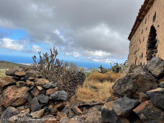 INCREÍBLE FINCA ECOLÓGICA EN ARONA - TENERIFE - SANTA CRUZ DE TENERIFE