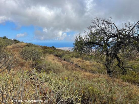 INCREÍBLE FINCA ECOLÓGICA EN ARONA - TENERIFE - SANTA CRUZ DE TENERIFE