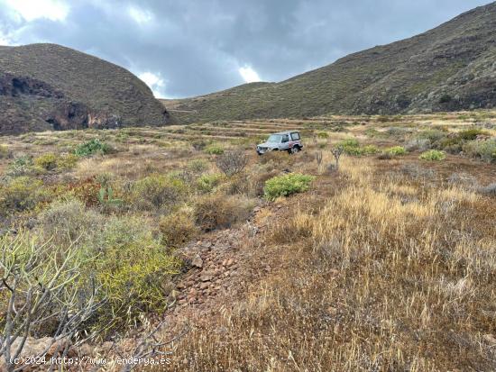 INCREÍBLE FINCA ECOLÓGICA EN ARONA - TENERIFE - SANTA CRUZ DE TENERIFE