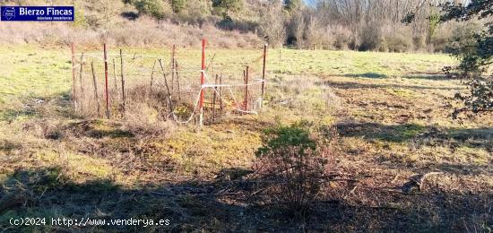 VENTA DE FINCA RÚSTICA EN COBRANA! - LEON