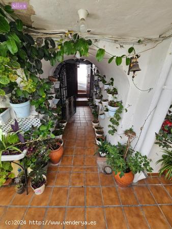  Apartamento en el casco antiguo de Vejer - CADIZ 