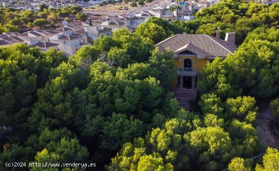 MANSION CON PISCINA PRIVADA Y PARCELA. - ALICANTE