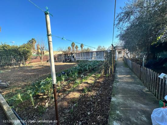 ✳️ Parcela Hipotecable junto al Cortijo del Alamillo/Villarrubia - CORDOBA