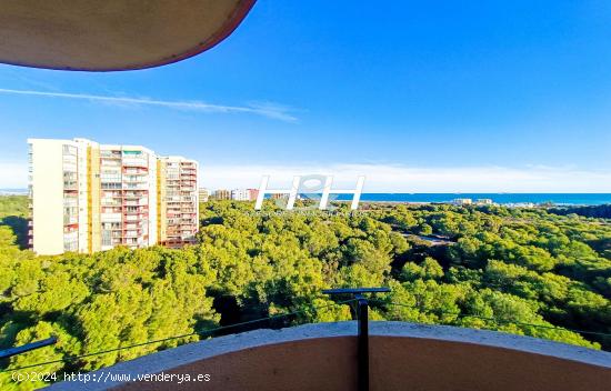 Apartamento en EL SALER con vistas panorámicas y enclave privilegiado. - VALENCIA