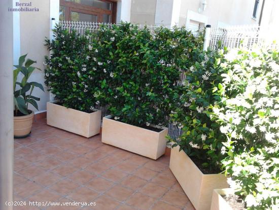 Bajo con cuarenta metros de terraza, en Sojuela. - LA RIOJA