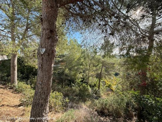 Parcela con Vistas en Can Suria - BARCELONA