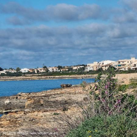  CHALET EN SA PLETA SA RAPITA A ESTENAR - BALEARES 