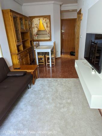  Apartamento de 1 dormitorio en Torrevieja a solo 650 m de la playa del Cura - ALICANTE 