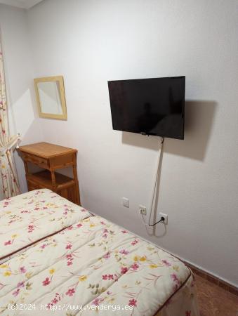 Apartamento de 1 dormitorio en Torrevieja a solo 650 m de la playa del Cura - ALICANTE