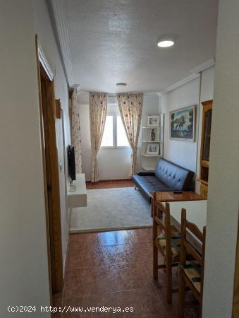 Apartamento de 1 dormitorio en Torrevieja a solo 650 m de la playa del Cura - ALICANTE