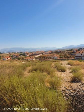  PARCELA CON VISTAS A SIERRA NEVADA!!! - GRANADA 