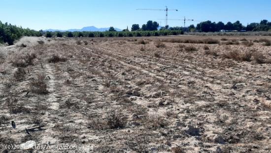 Se vende terreno en Roldán. Los Martínez del Puerto y Gea y Truyols - MURCIA