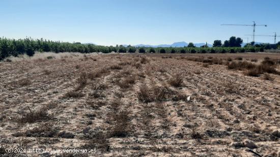 Se vende terreno en Roldán. Los Martínez del Puerto y Gea y Truyols - MURCIA