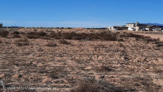 Se vende terreno en Roldán. Los Martínez del Puerto y Gea y Truyols - MURCIA