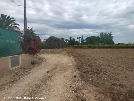 SI QUIERES CONSTRUIR TU HOGAR RODEADO DE NATURALEZA TENEMOS EL LUGAR IDEAL!! - ALICANTE