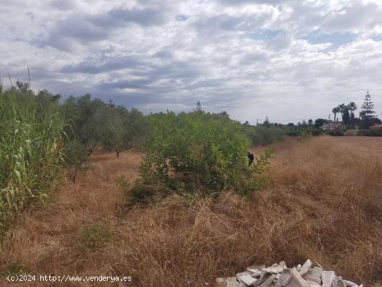 SI QUIERES CONSTRUIR TU HOGAR RODEADO DE NATURALEZA TENEMOS EL LUGAR IDEAL!! - ALICANTE