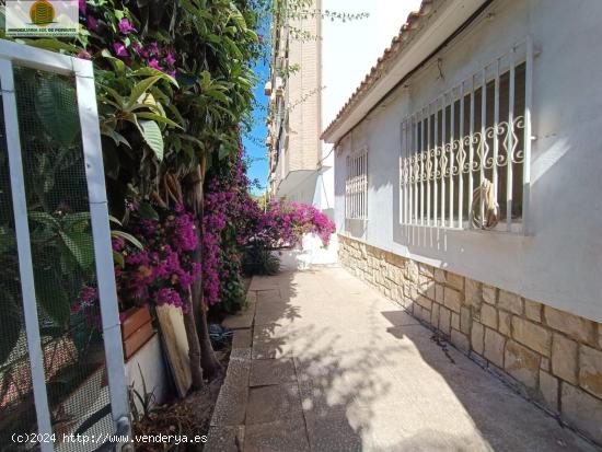  Proyecto de construcción en Benidorm, zona colonia madrid. - ALICANTE 