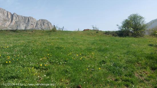 Venta de Terreno rustico urbanizable - CANTABRIA