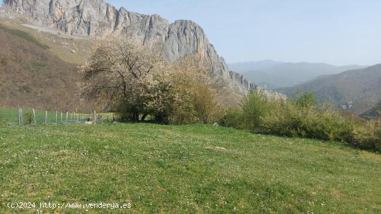 Venta de Terreno rustico urbanizable - CANTABRIA