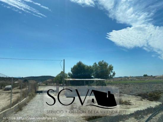 SE VENDE CASA DE CAMPO EN LA HORNA ALTA EN NOVELDA - ALICANTE