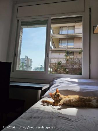  Habitación en piso compartido en L'Hospitalet de Llobregat. - BARCELONA 