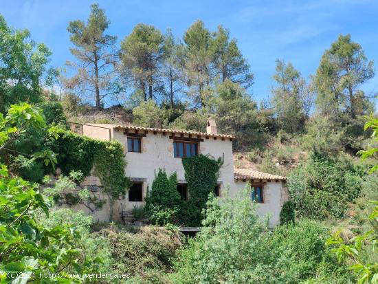 Antiguo molino reformado con interiores diáfanos - TERUEL