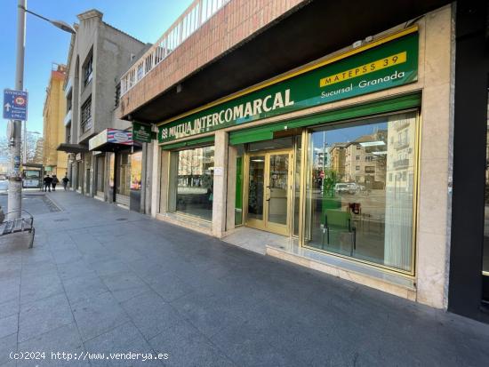 SE ALQUILA LOCAL COMERCIAL EN CAMINO DE RONDA. - GRANADA