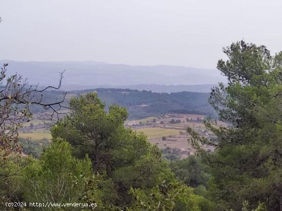 PARCELA EN VENTA EN URBANIZACIÓN SANT ELIES - BARCELONA