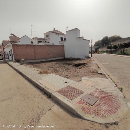 SOLAR DE ESQUINA EN GUILLENA, SEVILLA. - SEVILLA