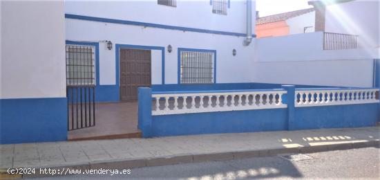 LOCAL COMERCIAL EN BURGUILLOS, SEVILLA. - SEVILLA