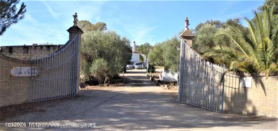 FINCA EN CASTIBLANCO DE LOS ARROYOS, SEVILLA. - SEVILLA